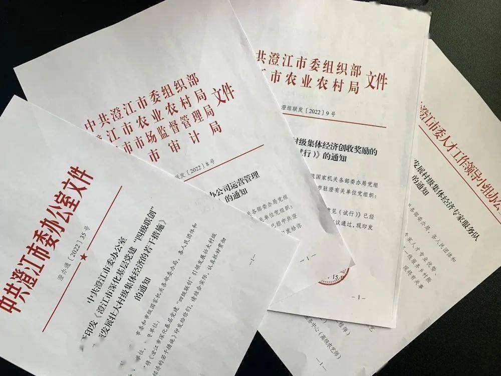 麦游盒子苹果版
:澄江：党建领航 产业支撑 人才赋能助力乡村振兴谱新篇