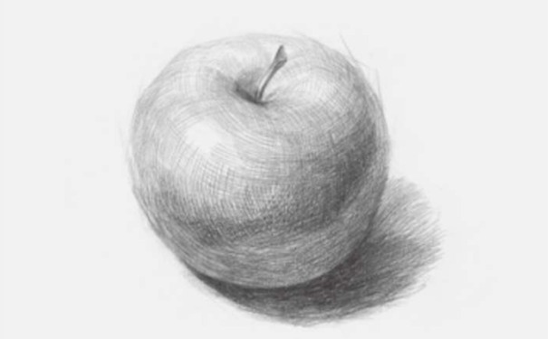 画苹果素描教程立体版素描画苹果的步骤视频教程-第2张图片-太平洋在线下载