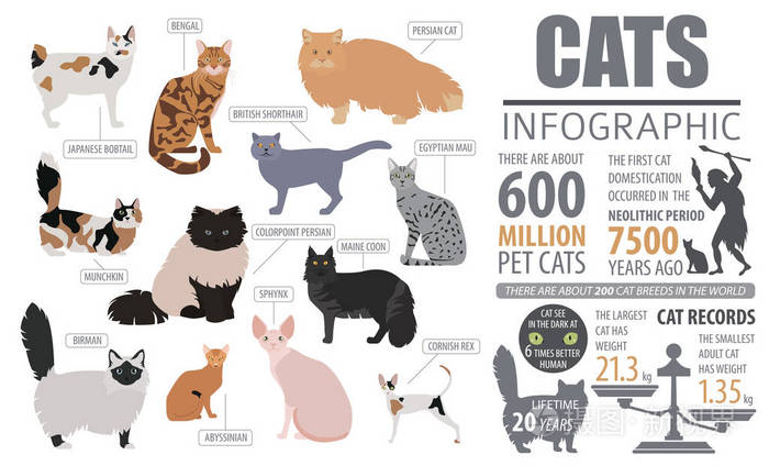 猫咪品种资讯图表下载手机版的简单介绍